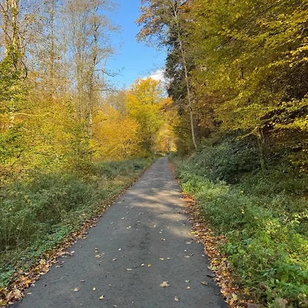 Berg-domizil Mit Eigenem Fahrradkeller Und Parkplatz, Inklusive Bettwaesche Und Handtuechern * Bad Lauterberg