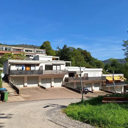 Berg-domizil Mit Eigenem Fahrradkeller Und Parkplatz, Inklusive Bettwaesche Und Handtuechern Apartment *