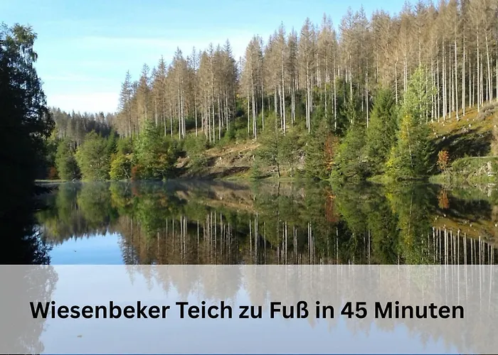 Berg-domizil Mit Eigenem Fahrradkeller Und Parkplatz, Inklusive Bettwaesche Und Handtuechern Lägenhet Bad Lauterberg